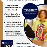 Imagen miniatura para la imagen principal del anuncio